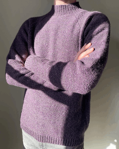 Sung Pullover_4.png