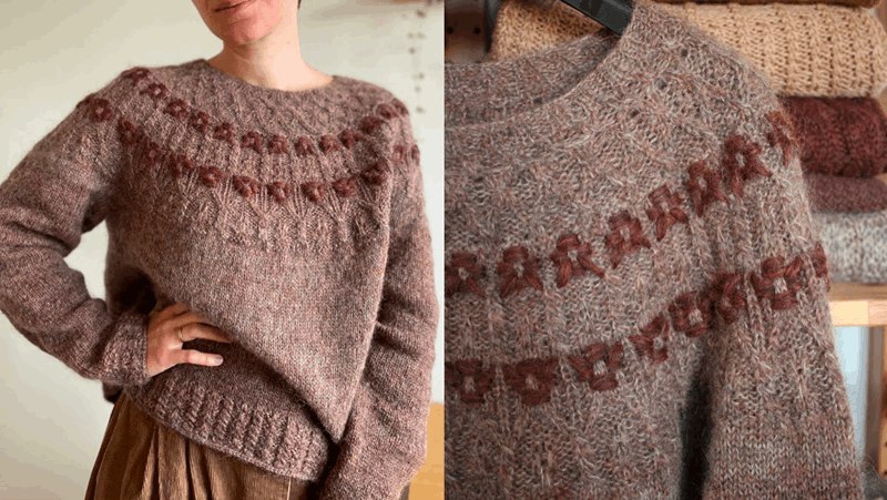 Laneus Pullover 1.png
