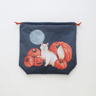 8053_Rel Minerva Regular Size Project Bag 4.jpg