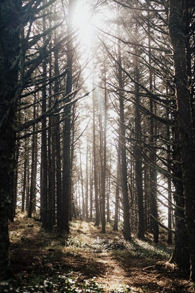 9789527468180_Rel LindseyFowler_Salt&Timber_2.jpg