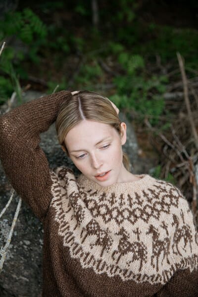 9789527468319_Rel Anna huolia hevosen.jpg