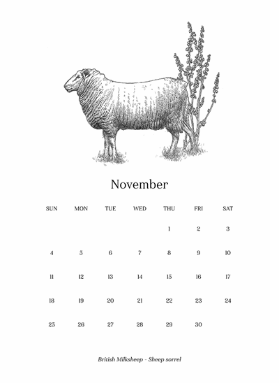 301_Rel Calender_11.png