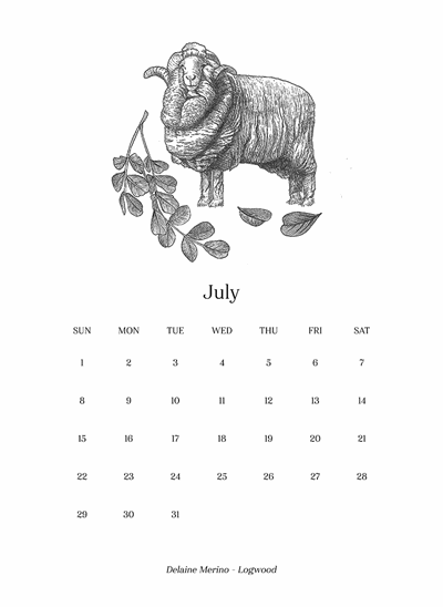 301_Rel Calender_7.png