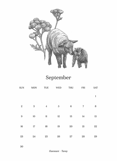 301_Rel Calender_9.png