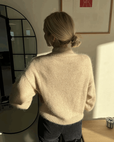 Balloon Sweater_3.png