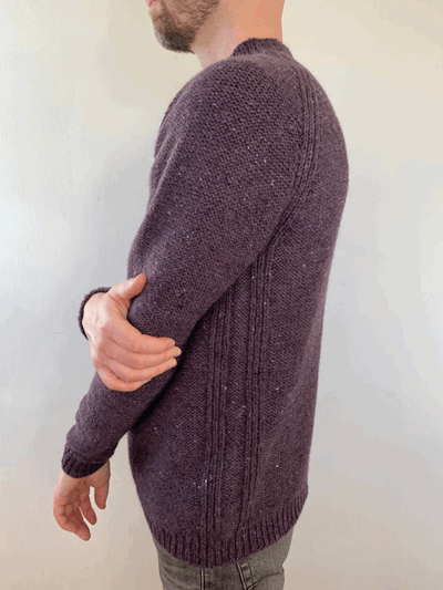 Sung Pullover_3.png