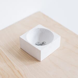 Twig&Horn Notions Dish - White